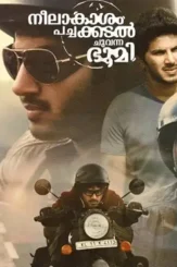 20643138_465567960473584_2555201260507571958_o - DesireMovies, DesireMovies2.My