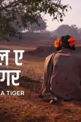 Aaaabtn d dyt6ocusipf rbwsz rbin1 i 2gjrpp vkbsfqs mq9w x5ey psr7 jb deam uwd6y fon2t os r u o6 j3 d - DesireMovies, DesireMovies2.My