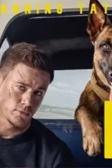 Dog lede 1 - DesireMovies, DesireMovies2.My