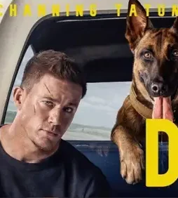 Dog lede 1 - DesireMovies, DesireMovies2.My