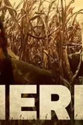 Herd 2023 - DesireMovies, DesireMovies2.My