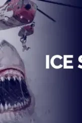 Ice sharks 2016 p - DesireMovies, DesireMovies2.My