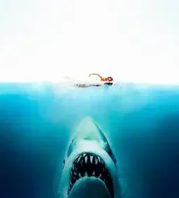 Jaws 1975 p - DesireMovies, DesireMovies2.My