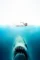Jaws 1975 p - DesireMovies, DesireMovies2.My