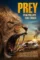 Kalahari prey 2024 - DesireMovies, DesireMovies2.My