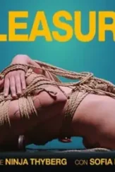 Pleasure 2021 movie poster 678x381 1 - DesireMovies, DesireMovies2.My