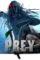 Prey - DesireMovies, DesireMovies2.My