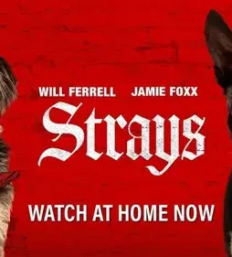 Strays 2023 p - DesireMovies, DesireMovies2.My