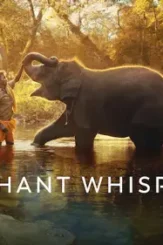 The elephant whisperers 2022 p - DesireMovies, DesireMovies2.My