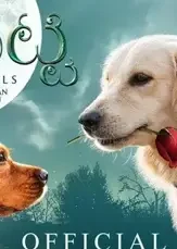 Valatty g - DesireMovies, DesireMovies2.My