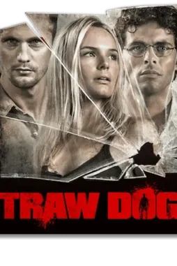 Dcfqvks a1f33fcd 6de0 4e2a 9c90 538b938aa797 - DesireMovies, DesireMovies2.My