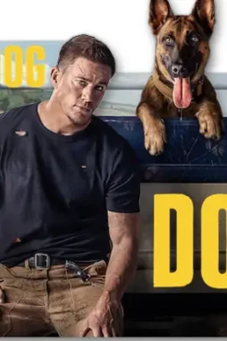 Df1u1n5 207d45cb 61b8 4048 80ae 940855b4e58d - DesireMovies, DesireMovies2.My