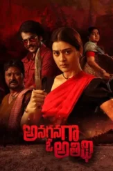 Jadjz4sms9k7pwnqjg5n0epe2cz - DesireMovies, DesireMovies2.My