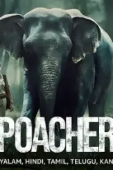 Qff - DesireMovies, DesireMovies2.My