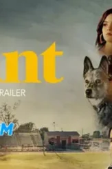 Wp2646303 678x381kjlk - DesireMovies, DesireMovies2.My