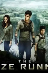 284474 maze runner - DesireMovies, DesireMovies2.My