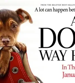 Adogswayhome2019e - DesireMovies, DesireMovies2.My