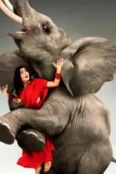 Avunu1 - DesireMovies, DesireMovies2.My