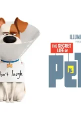 Pets 1080x793 5be3683f0ba23 1 - DesireMovies, DesireMovies2.My