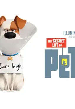 Pets 1080x793 5be3683f0ba23 1 - DesireMovies, DesireMovies2.My