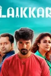 Vmain2 - DesireMovies, DesireMovies2.My