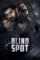 blind spot 2025 , DesireMovies - DesireMovies.Team