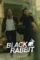 black rabbit 2025 , DesireMovies